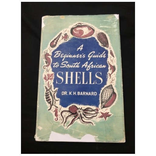 A Beginner's Guide to South African Shells