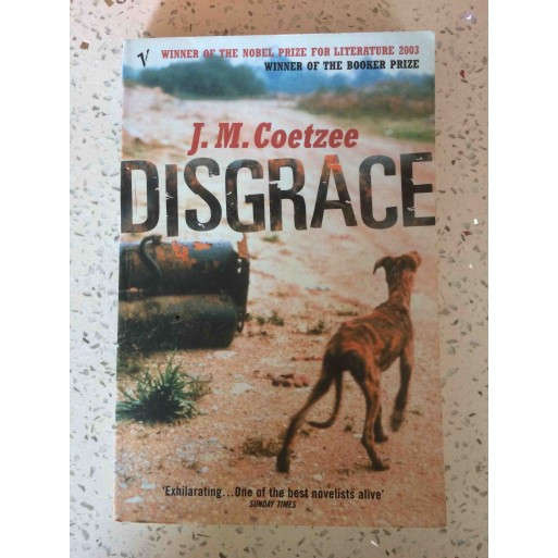 Disgrace