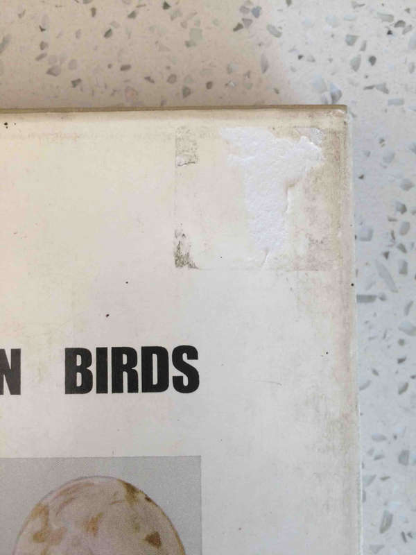Priest's Eggs of Southern African Birds