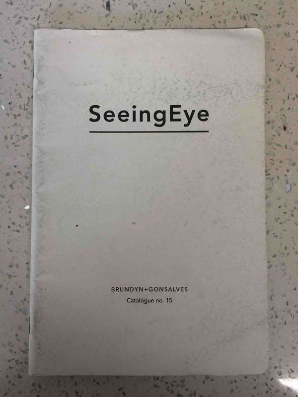 SeeingEye