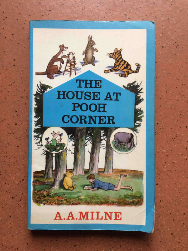 The House at Pooh Corner