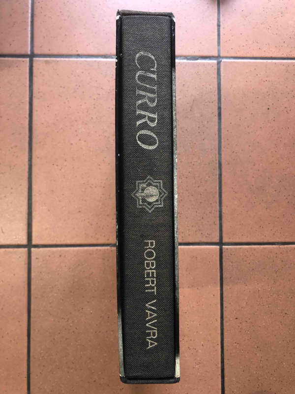 Curro: Reflections of a Spanish Youth