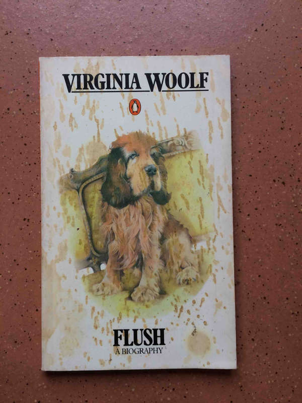Flush a Biography