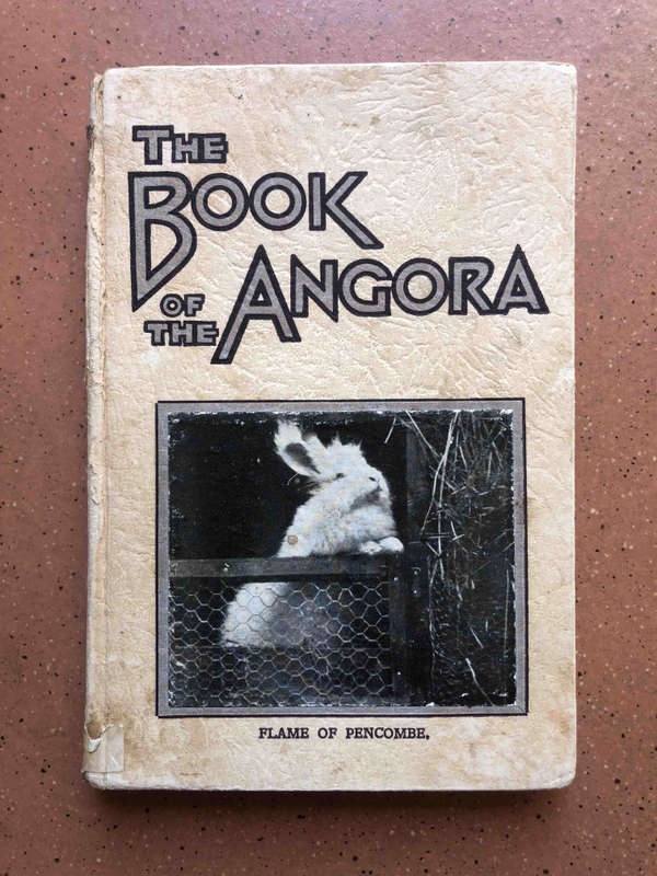 The Book of the Angora