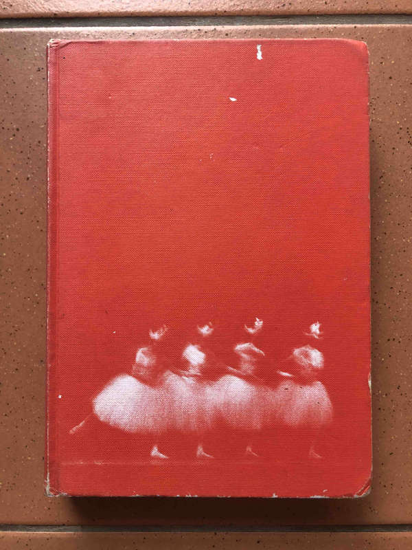 The History of Ballet in South Africa