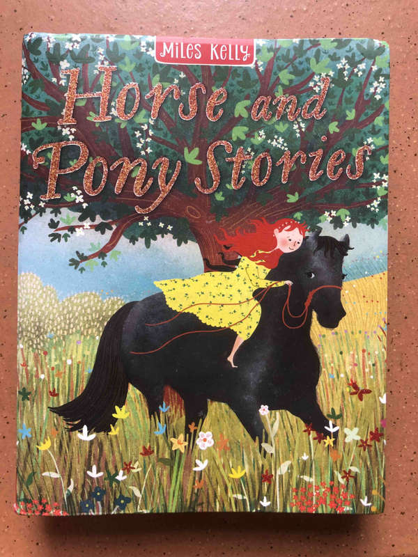 Horse and Pony Stories