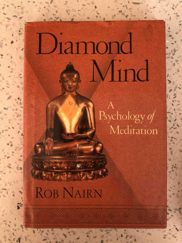 Diamond Mind: Psychology of Meditation