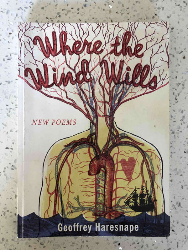 Where the Wind Wills