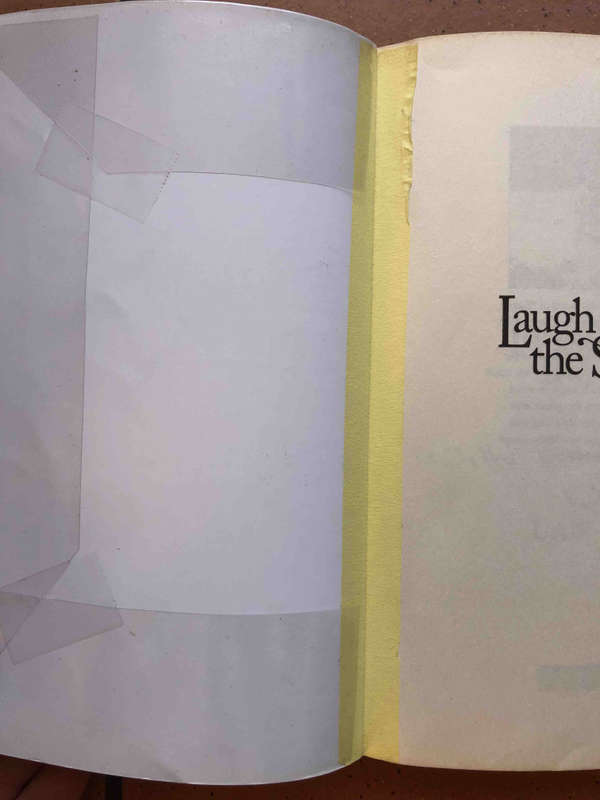 Laugh Back the Sun