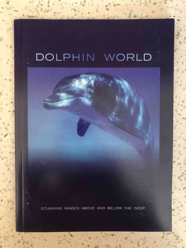 Dolphin World