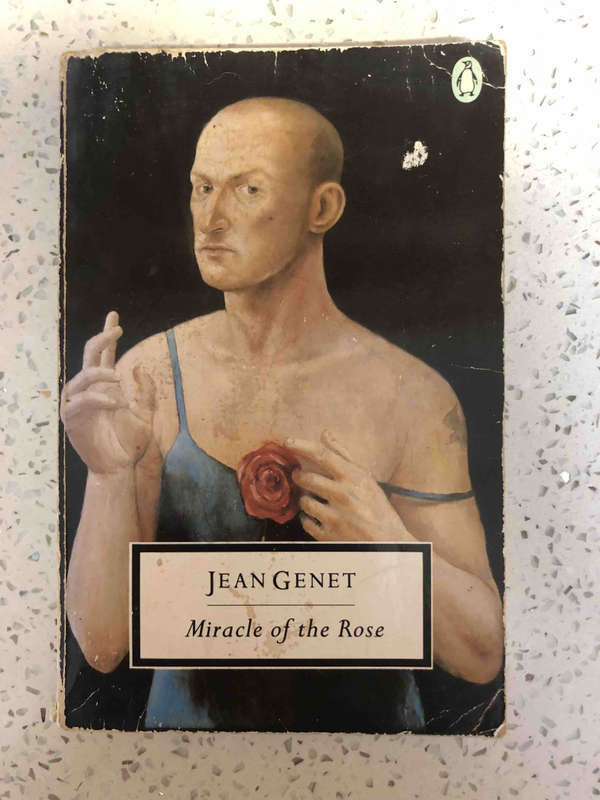 Miracle of the Rose