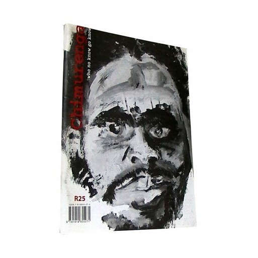 Chimurenga Vol 3: Biko in Parliament