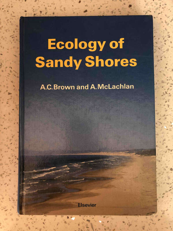 Ecology of Sandy Shores