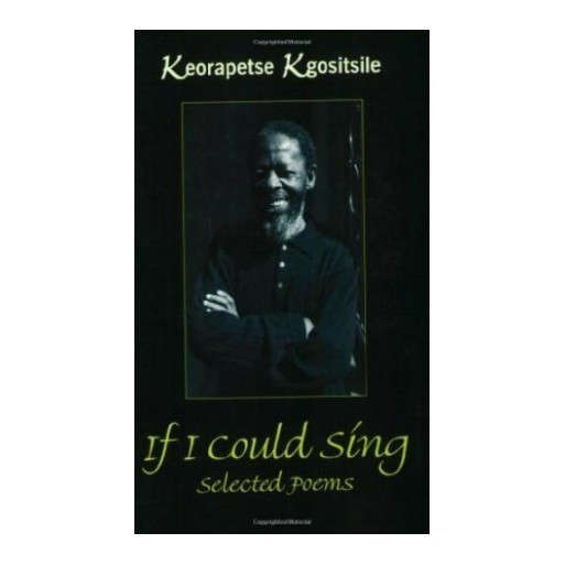 If I Could Sing