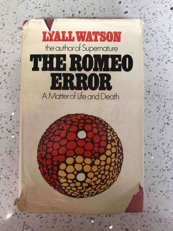 The Romeo Error