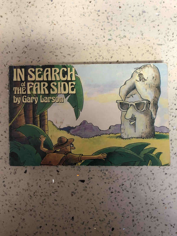 In Search of the Far Side