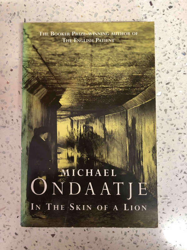 In the Skin of a Lion