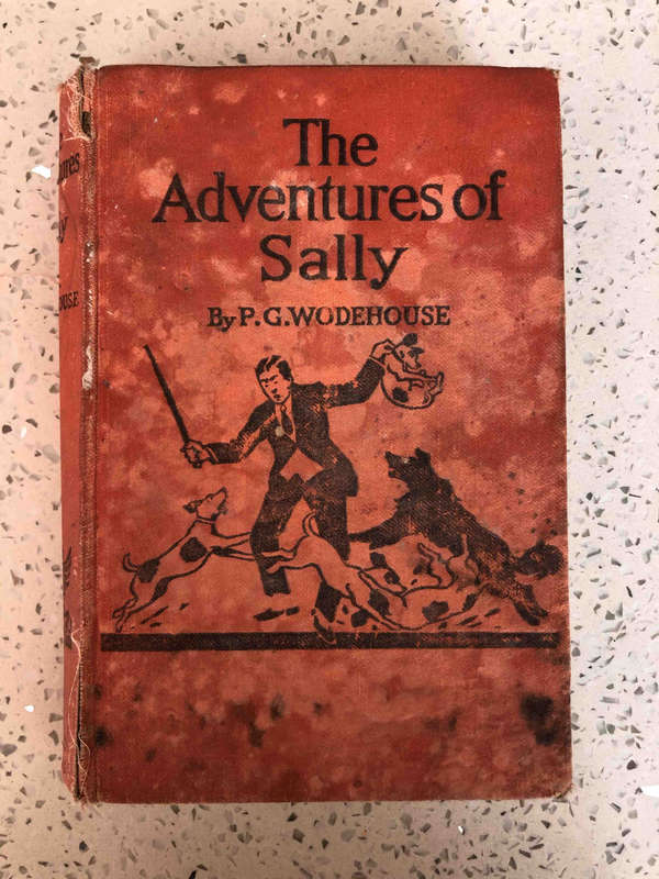 The Adventures of Sally