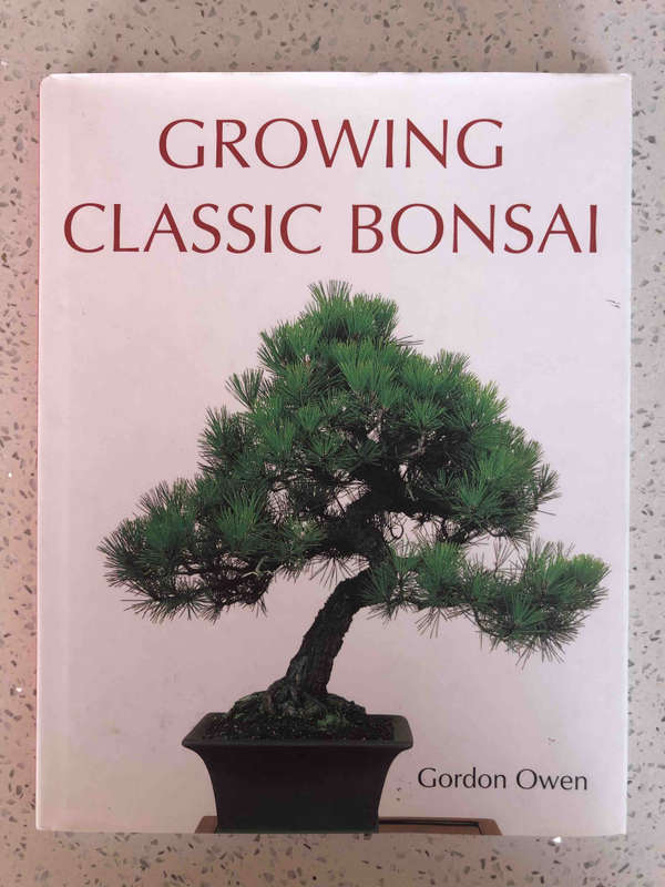 Growing Classic Bonsai