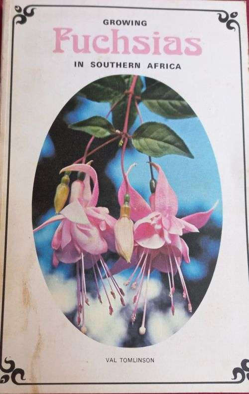 Growing Fuchsias in Southern Africa