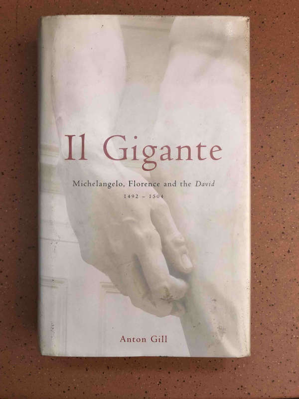 Il Gigante: Michelangelo, Florence and the David, 1492-1504