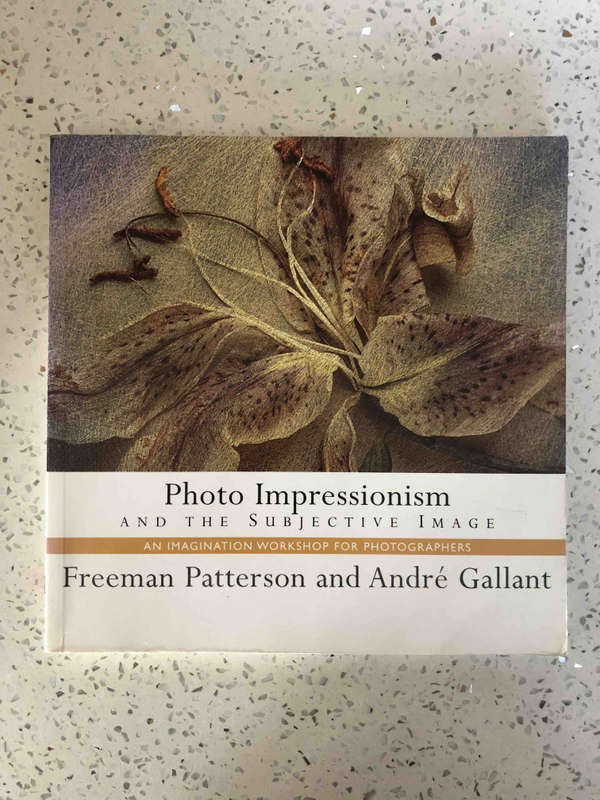 Photo Impressionism and the Subjective Image