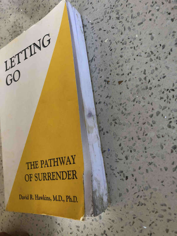 Letting Go: The Pathway of Surrender