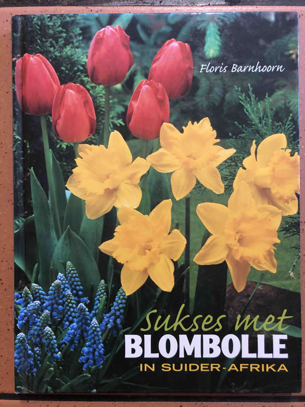 Sukses met Blombolle in Suider-Afrika