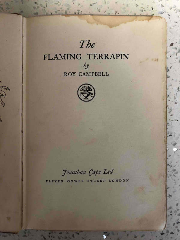 The Flaming Terrapin