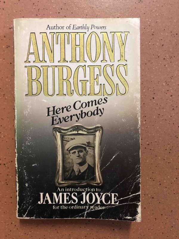 Here comes everybody: An introduction to James Joyce for the ordinary reader
