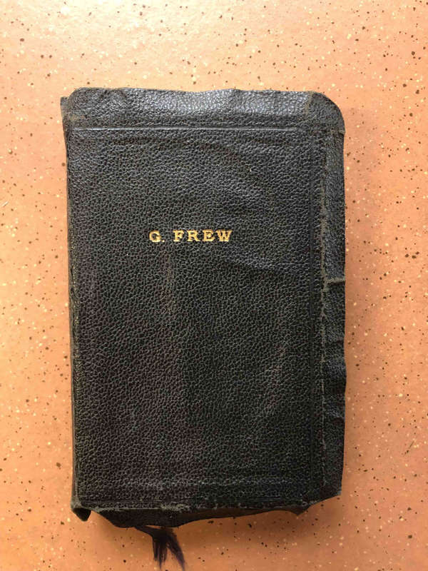 Holy Bible Illustrated