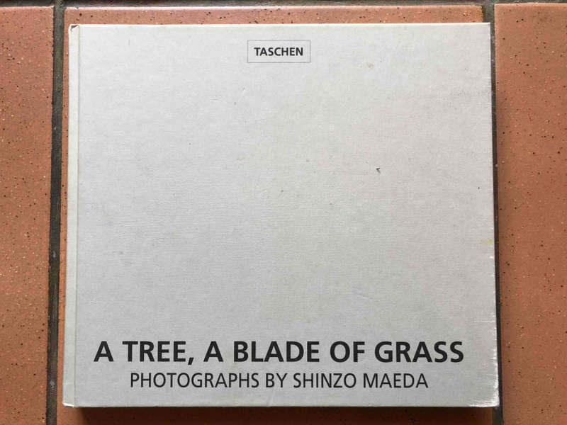 A Tree, a Blade of Grass