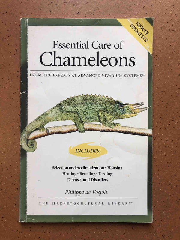 Essential Care of Chameleons