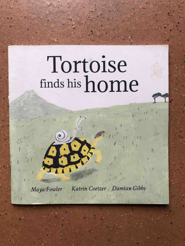 Tortoise finds his Home