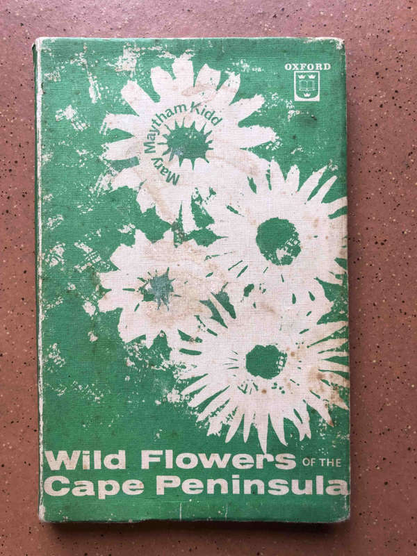 Wild Flowers of the Cape Peninsula