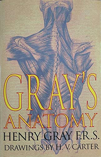 Gray's Anatomy