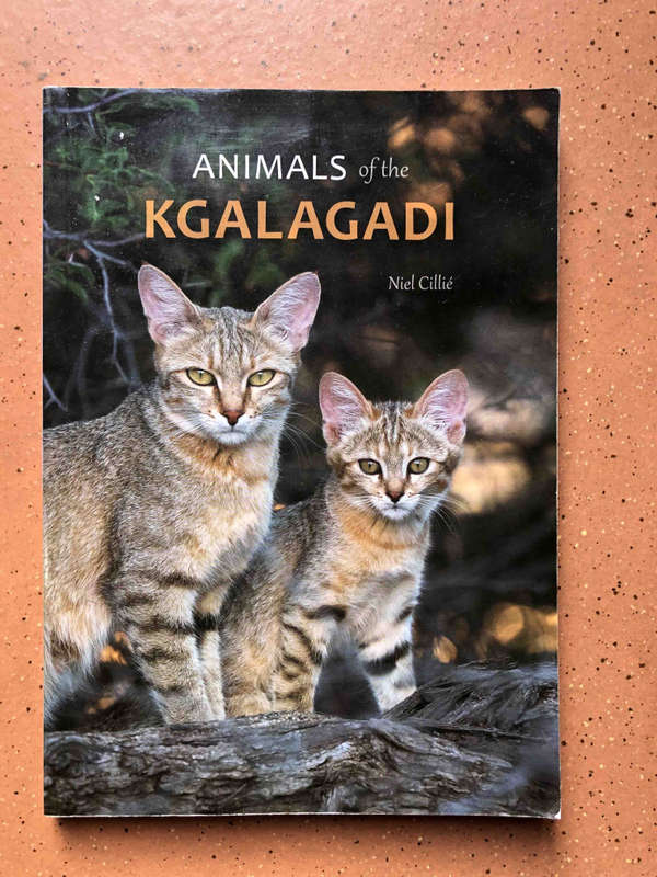 Animals of the Kgalagadi
