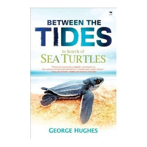 Between the Tides: In Search of Sea Turtles