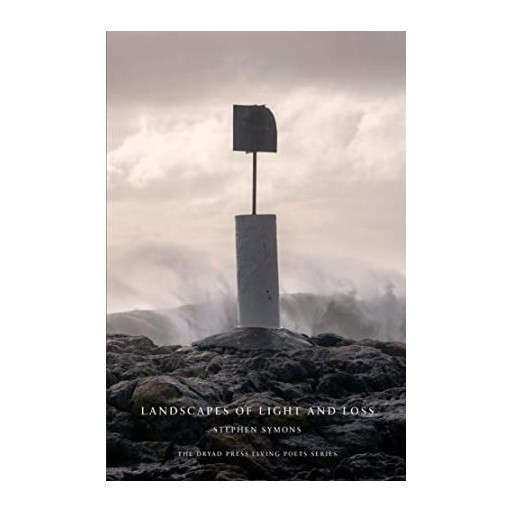 Landscapes of Light and Loss