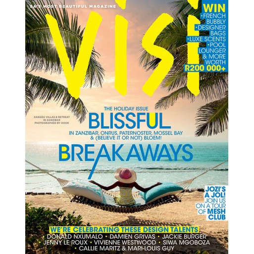 Visi Issue 87 Dec 2016/Jan 2017