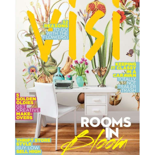 Visi Issue 74 Sep/Oct 2014