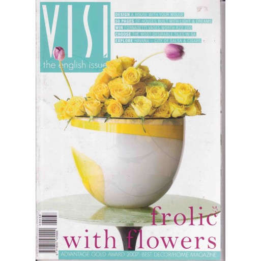 Visi Issue 38 Spring 2008