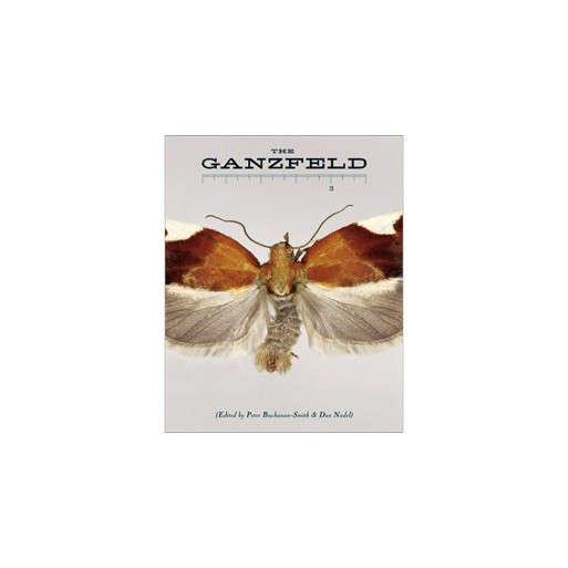 The Ganzfeld 3