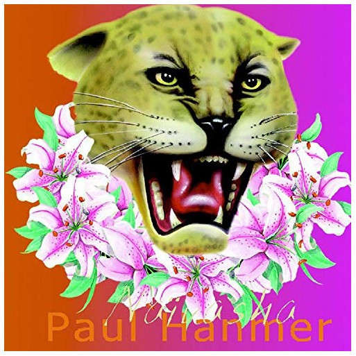 Paul Hanmer - Naivasha
