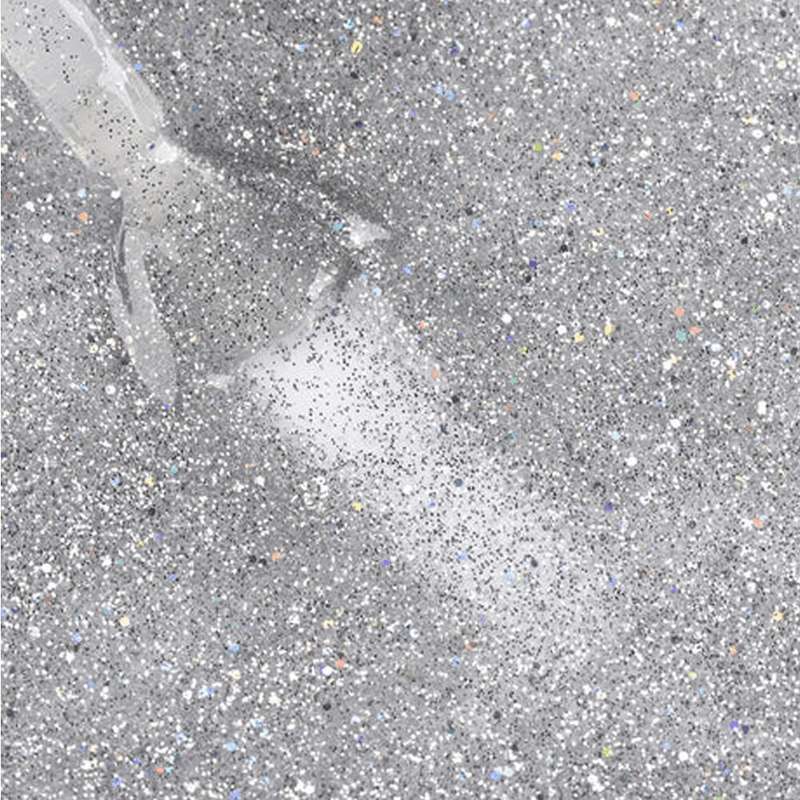 Silver Glitter Explosion 80573