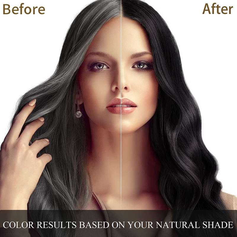 Black Hair Dye Shampoo 400ml