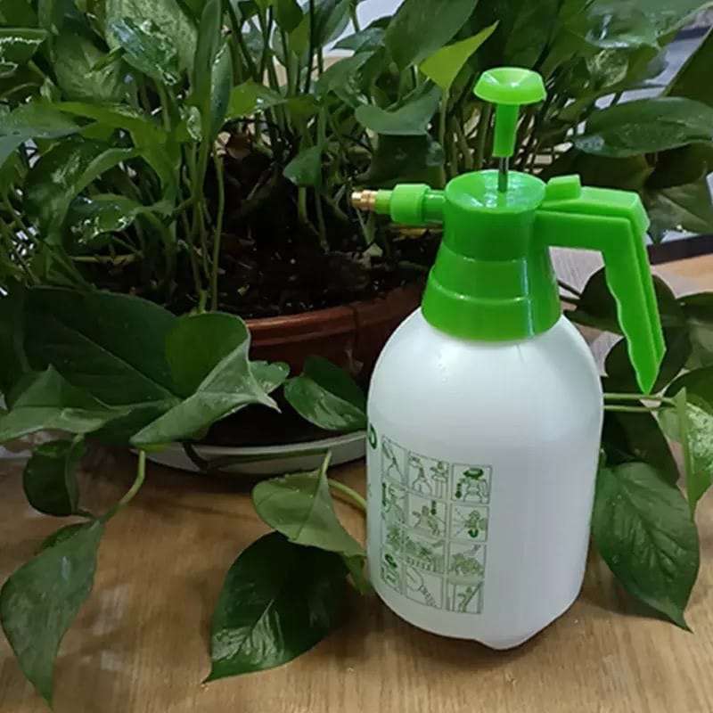 High Pressure Pump Sprayer - 2 Litre