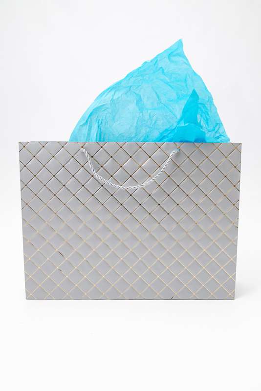 Senza Luxury Gift Bag Embossed With Handles Silver & Gold 420mm X 310mm