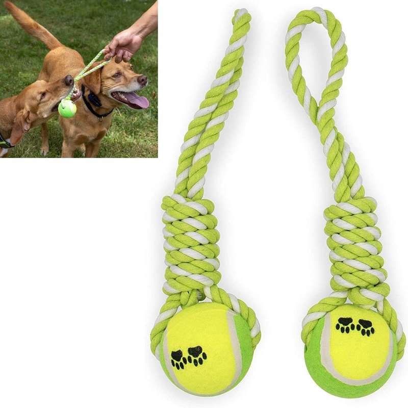 Dog Training Ball on Rope X 1