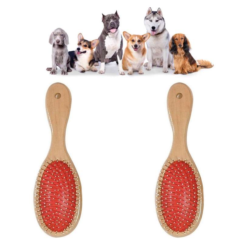 Pet Hair Brush - Pack Of 2